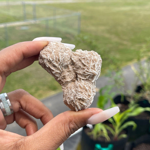 Desert Rose Selenite Specimen