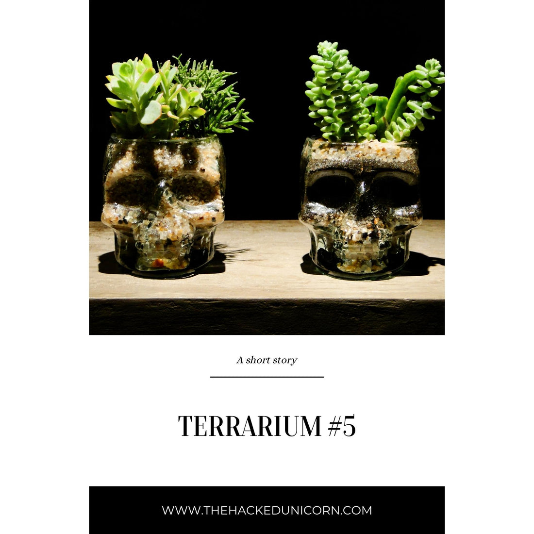 Terrarium #5