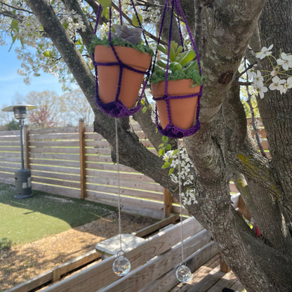 Hanging Forever Potted Succulents