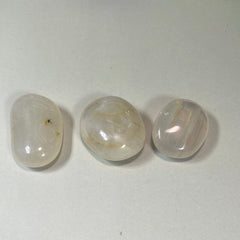 Flower Agate Palm Stones
