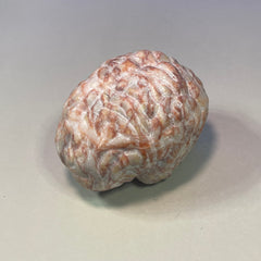 Calcite Brain